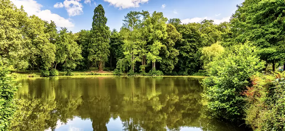 L'étang du château niché dans un coin paisible du parc, offrant un cadre bucolique et apaisant avec le reflet des arbres majestueux sous un ciel bl