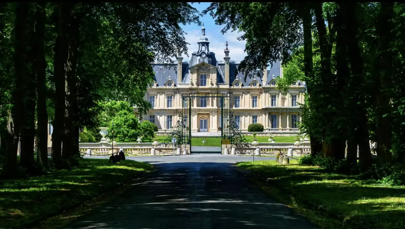 Allée d'honneur majestueuse menant au château, bordée d'arbres centenaires et ombragée, offrant une perspective historique et romantique sur la fa�